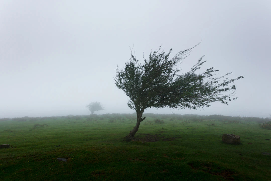 Gear Up for Windy Days Essential Windblock Tips