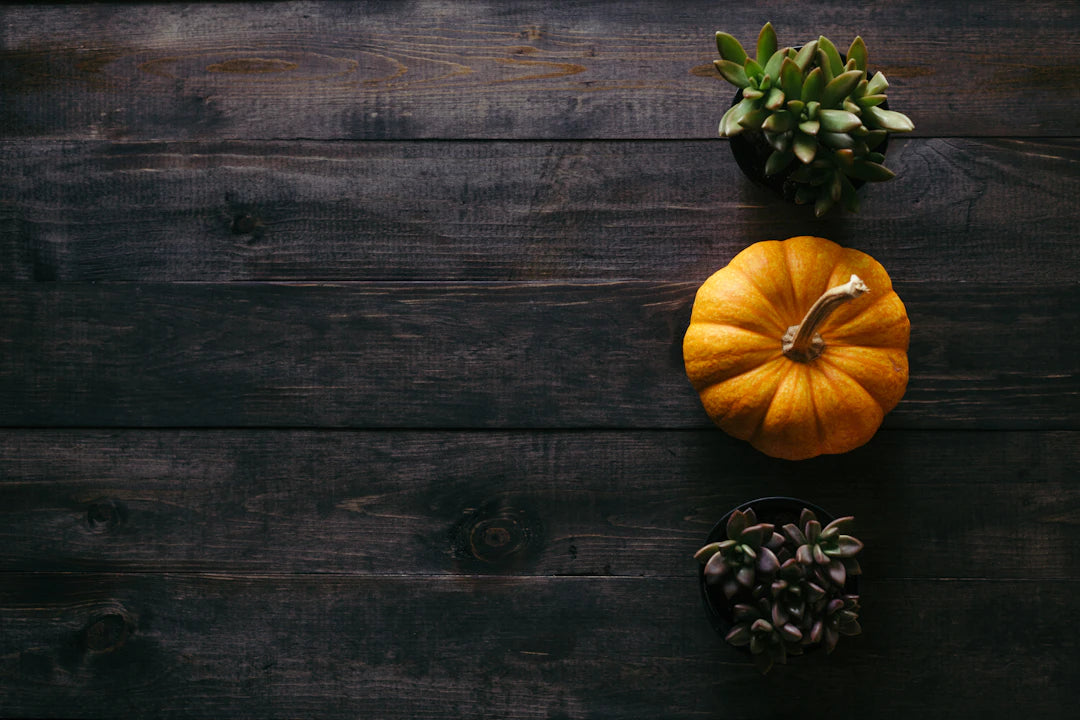 The Impact of Climate Change on Fall Fashion Choices