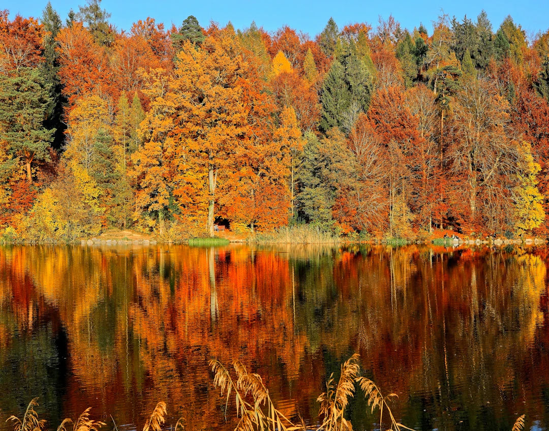 Unbeatable Performance How Windblock Materials Stand Tall Against Fall's Unpredictable Weather