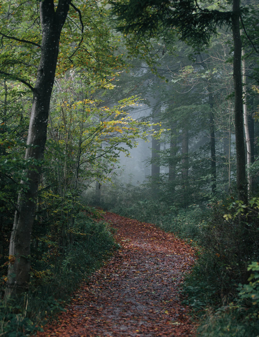 Top Fall Hiking Spots for Windblock Lovers