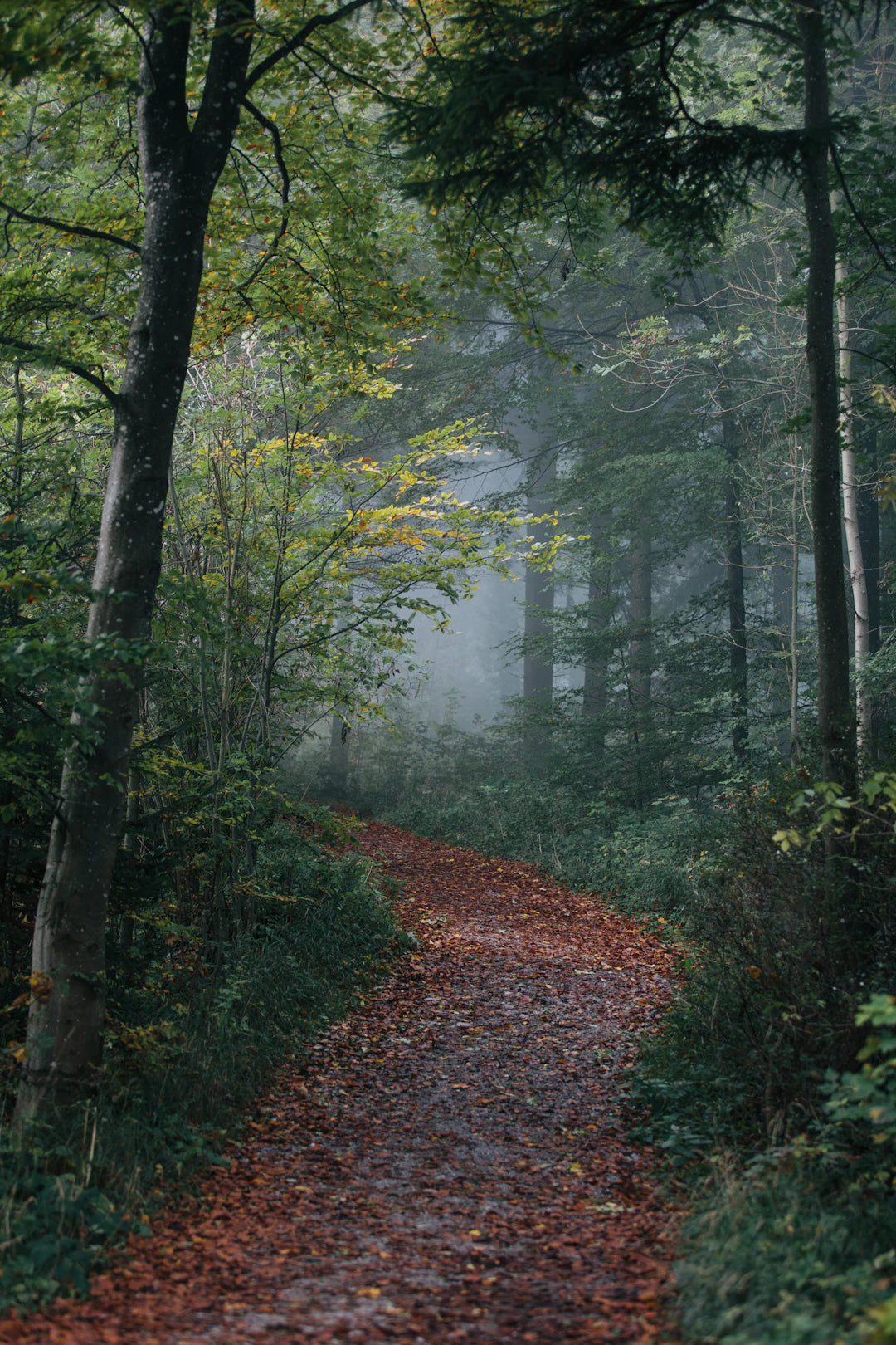 Top Fall Hiking Spots for Windblock Lovers