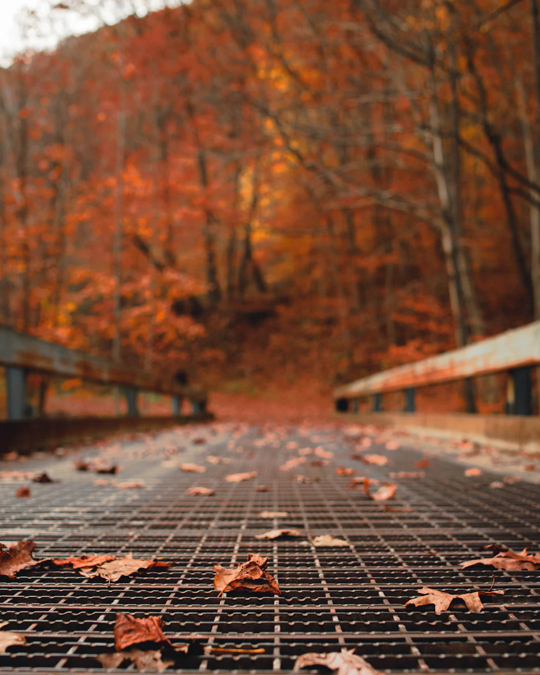 Discover Fall's Best Local Spots While Staying Windproof