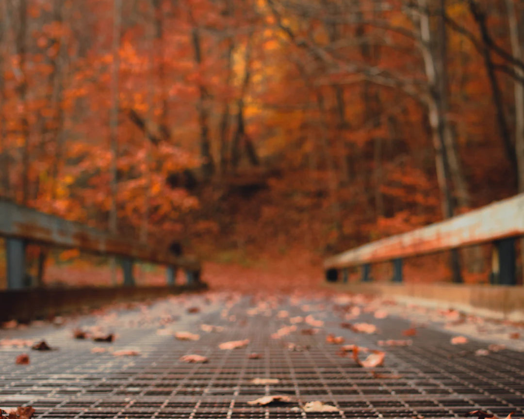 Discover Fall's Best Local Spots While Staying Windproof