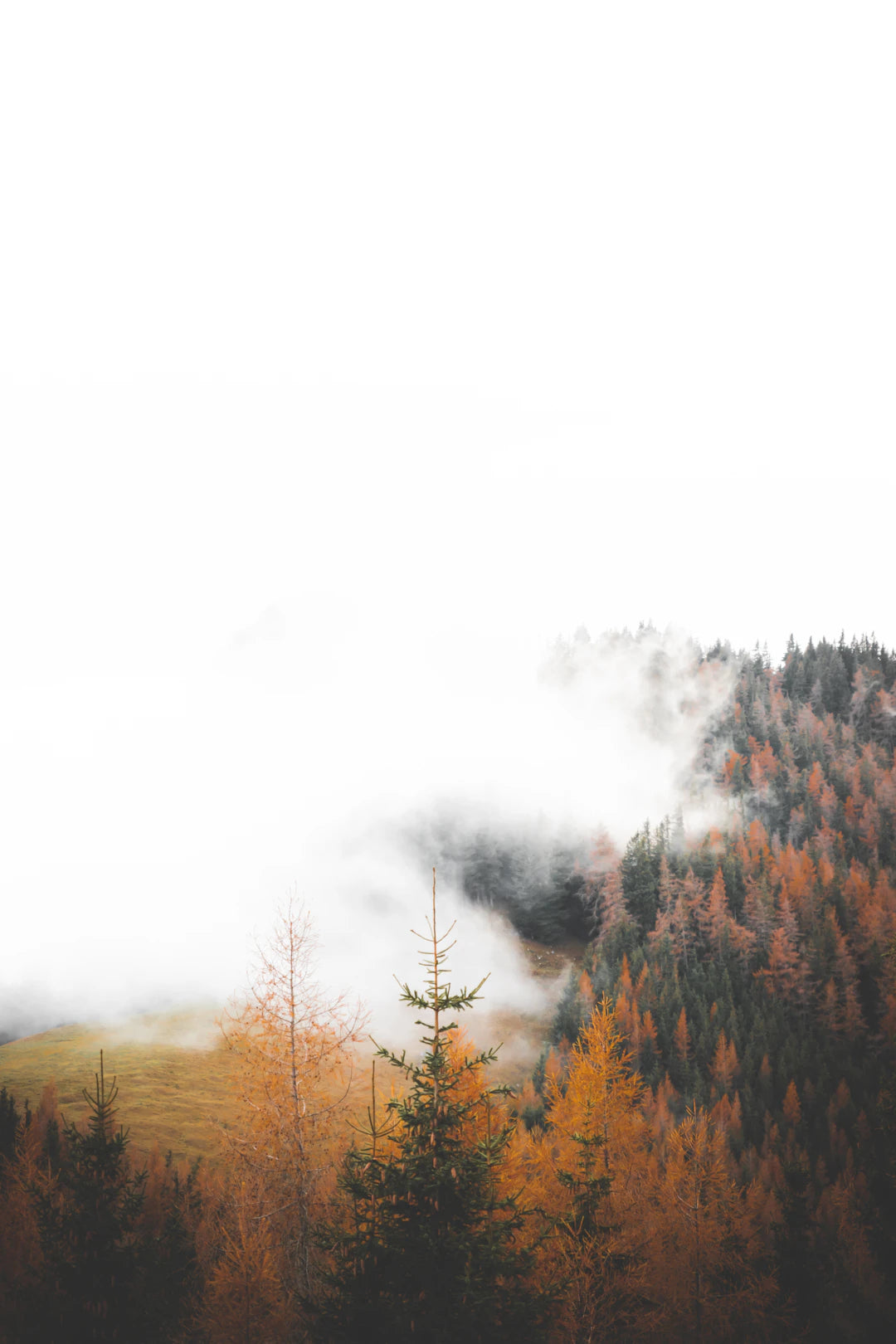 Experience the Great Outdoors Like Never Before with Windblock Gear