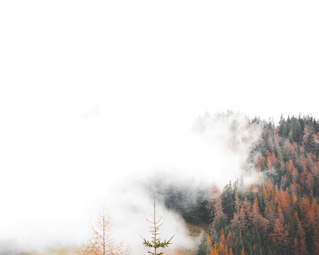 Experience the Great Outdoors Like Never Before with Windblock Gear