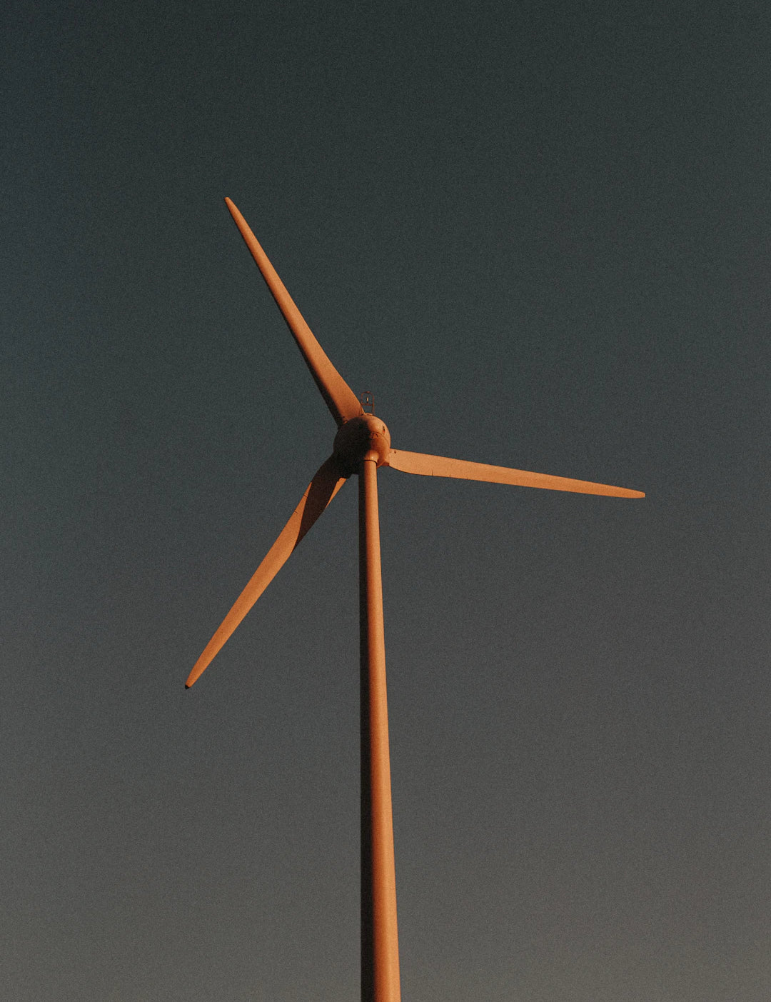Windblock and Sustainability Eco-Friendly Fall Essentials