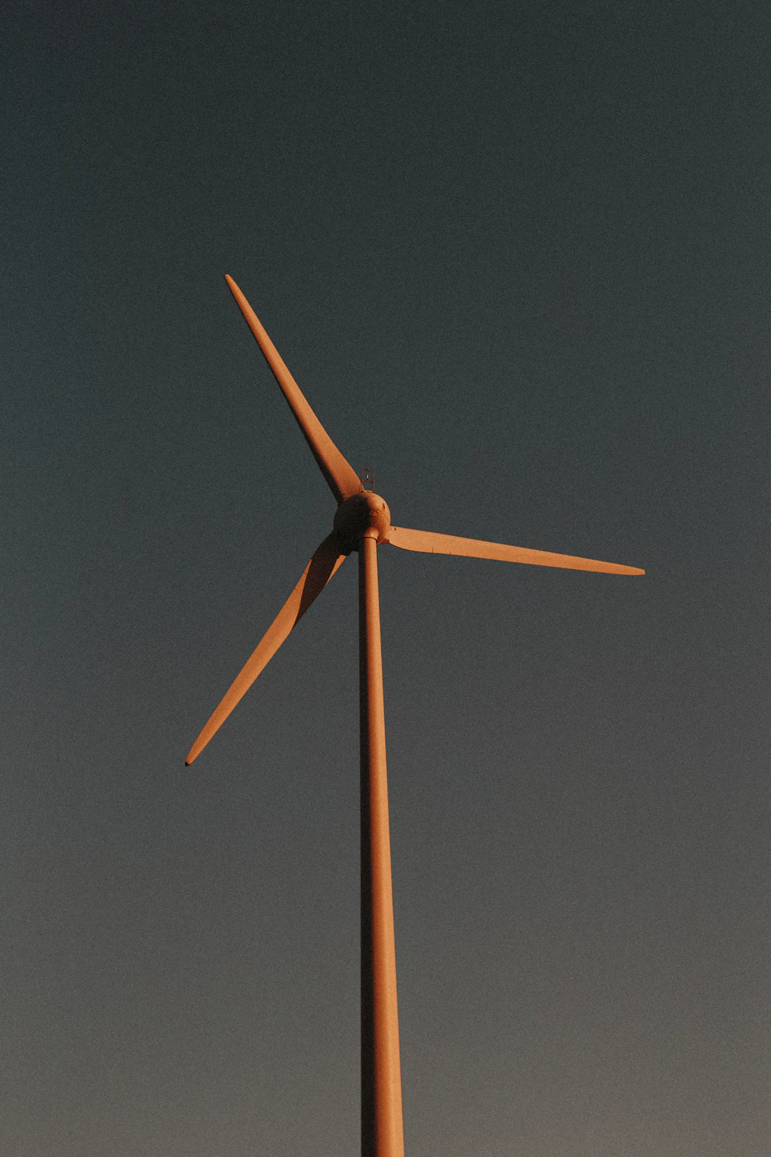Windblock and Sustainability Eco-Friendly Fall Essentials