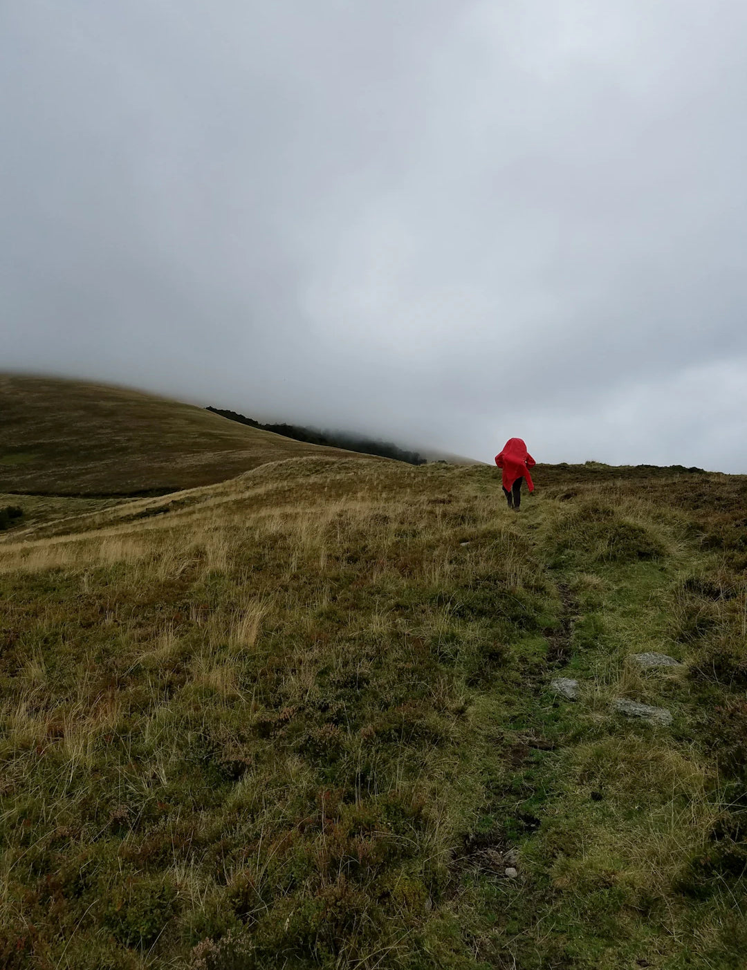 Why Wind Resistance is Key for Fall Hiking Gear