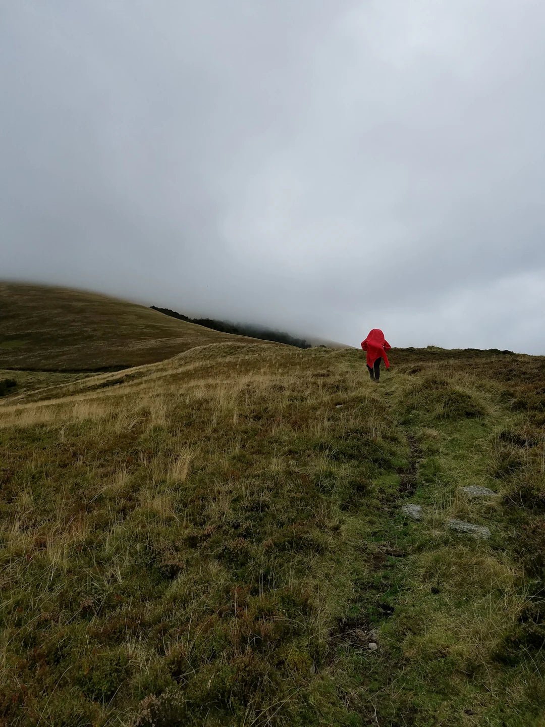Why Wind Resistance is Key for Fall Hiking Gear