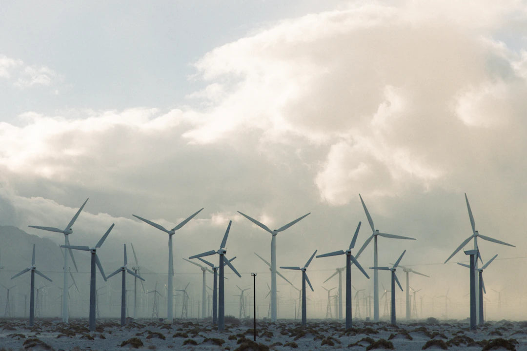 The Science Behind Windblock Technology: Nature’s Shield for Ultimate Comfort