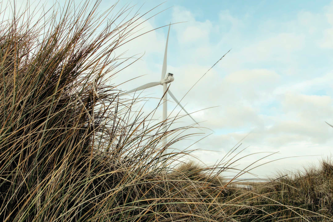 Enhancing Outdoor Comfort with Windblock Technology