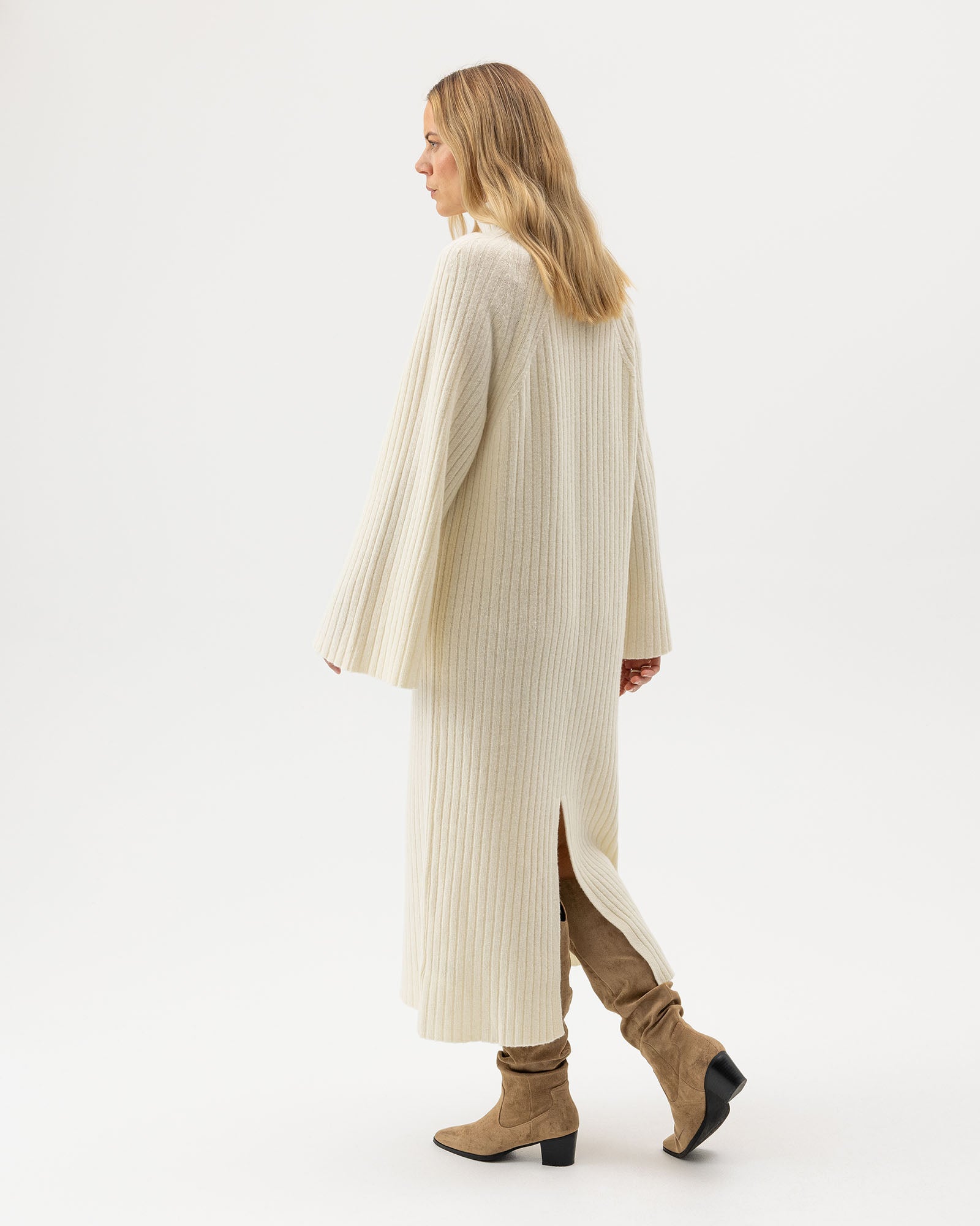 Holebrook_Ami-Dress_A52605_119_2.jpg