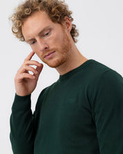 Holger Crew- Pine